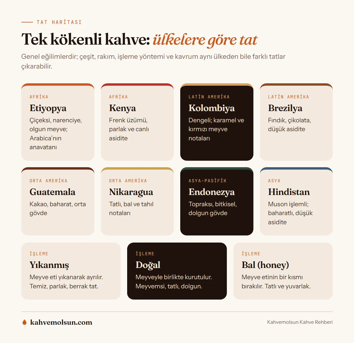 Tek kökenli kahve tat haritası: Etiyopya, Kenya, Kolombiya, Brezilya, Guatemala, Nikaragua, Endonezya ve Hindistan kahvelerinin tat profilleri